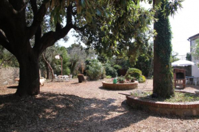 Casale con accesso mare, grande giardino e basket, Rosignano Marittimo